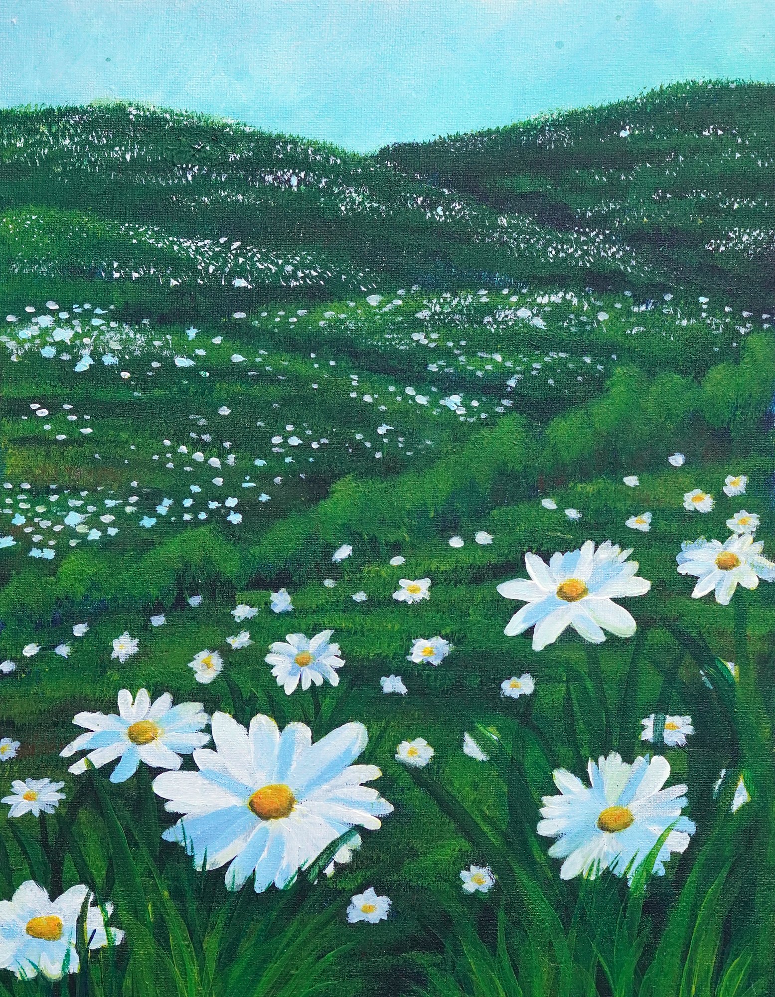 Daisy Fields