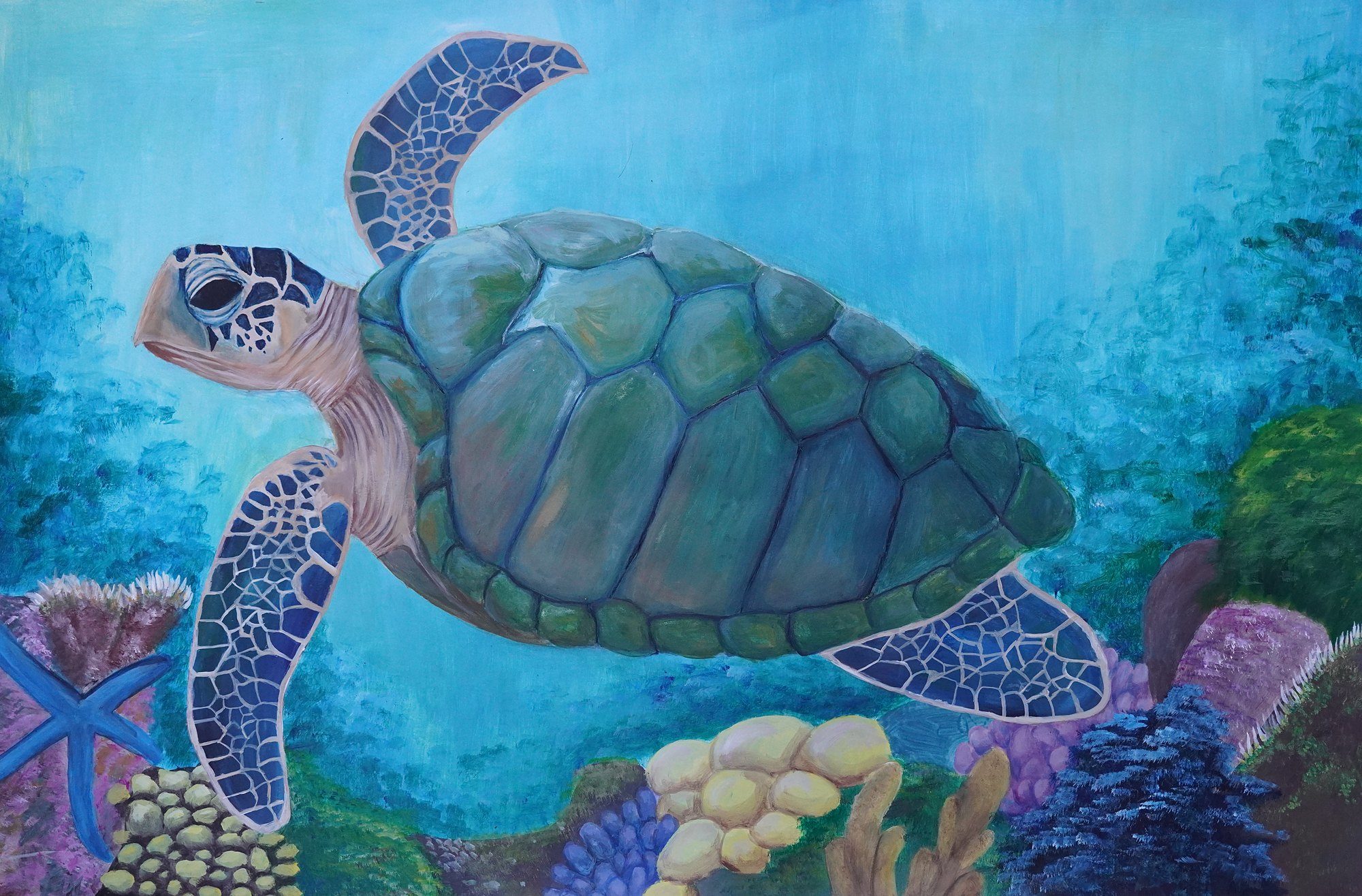 The 100 Year Old Turtle