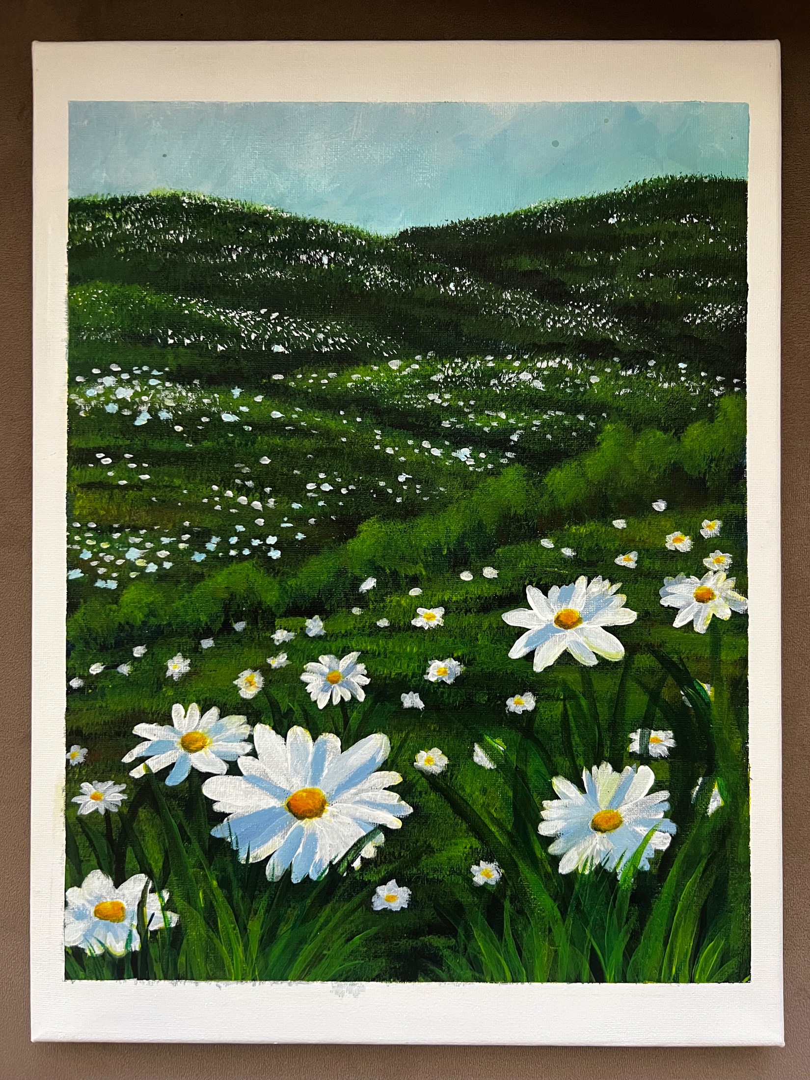Daisy Fields